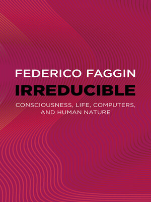 Irreducible - ebook